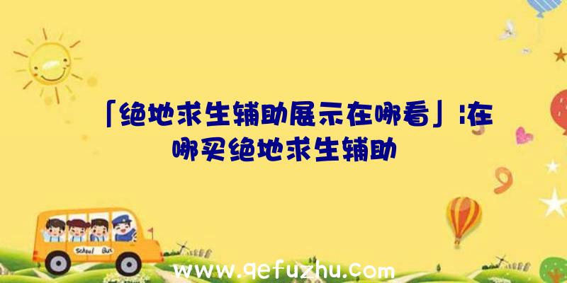 「绝地求生辅助展示在哪看」|在哪买绝地求生辅助